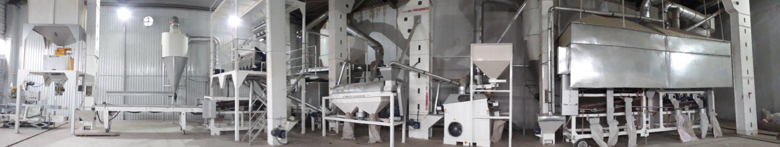 4T/H  beans cleaning plant