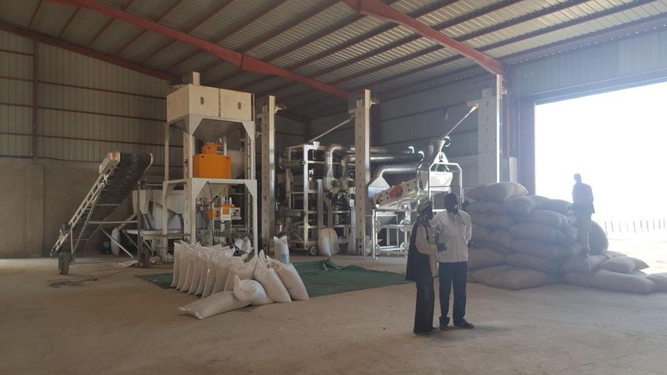 3T/H Seed Cleaning Plant