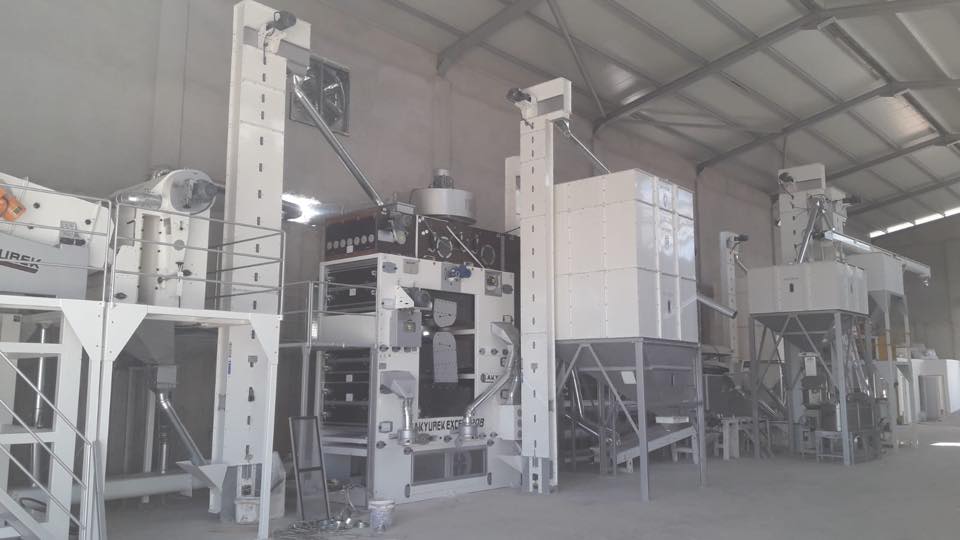 10T/H Seed  Cleaning Plant 