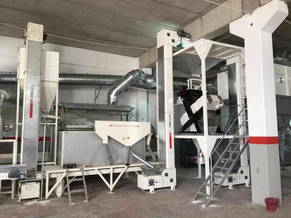 Pumpkin Seed and Sunflower Seed Screening Plant