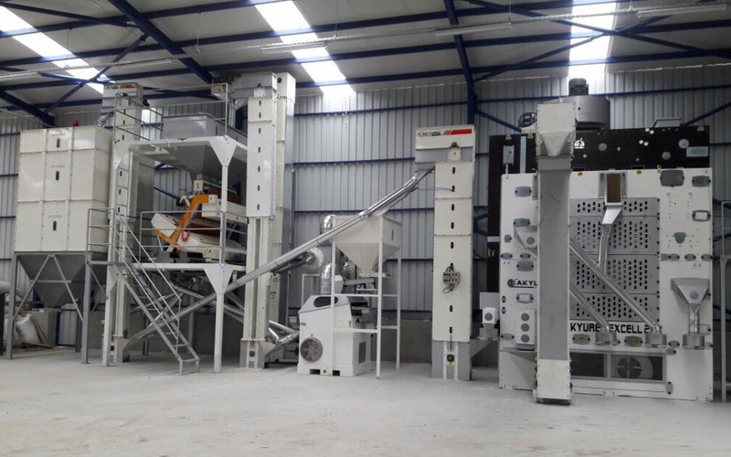 Sunflower Seed and Cleaning Plant 3T/H Capacity 