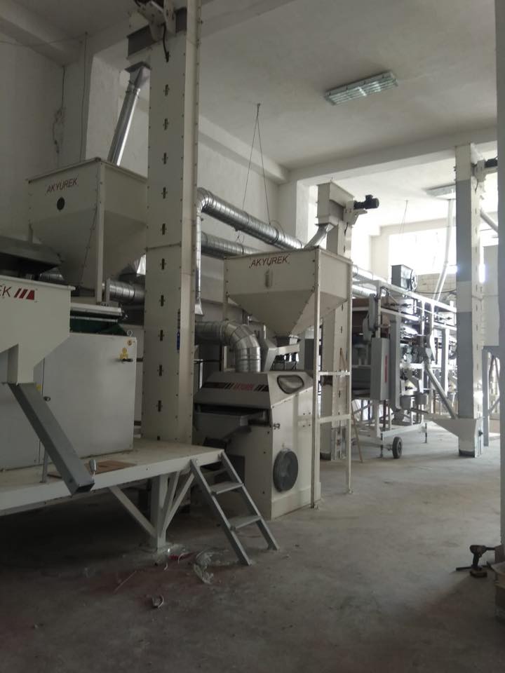 1T/H sunflower seeds cleaning plant